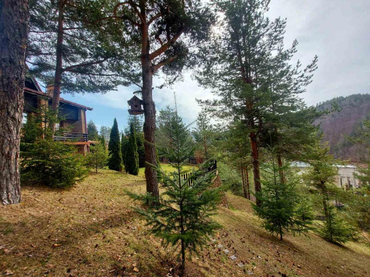 Aurora Resort & Spa Berovo Exterior foto